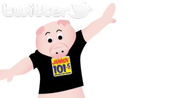 follow us on twitter